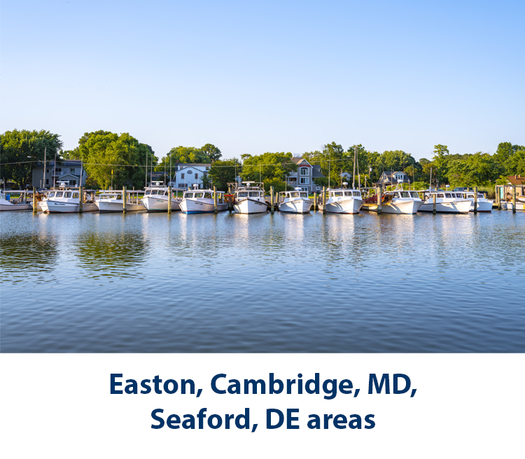 Easton, Cambridge, MD, Seaford, DE areas