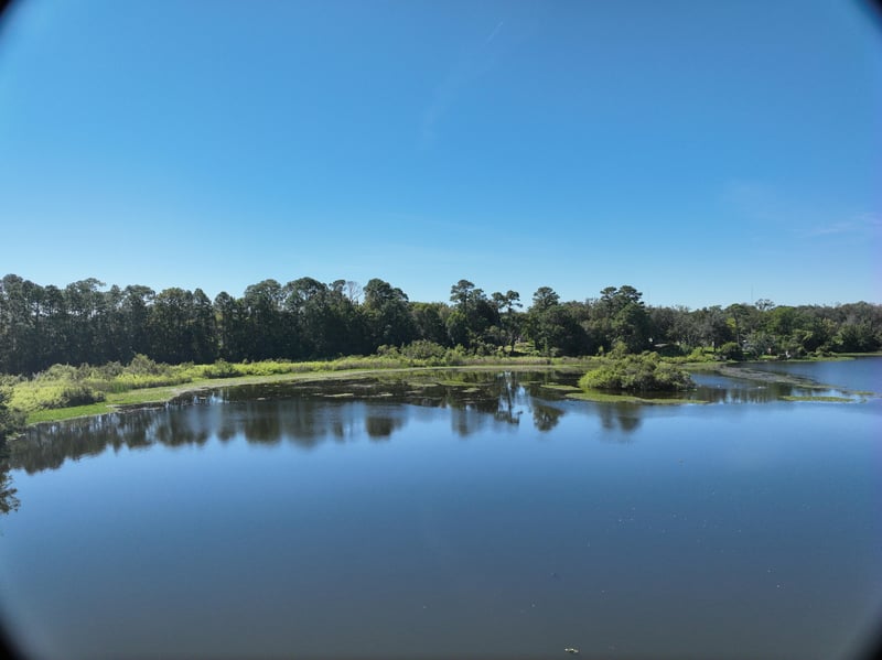 LiveWork-Est1_43ft_S_photo at Live Oak Trail, Jacksonville, FL 32225