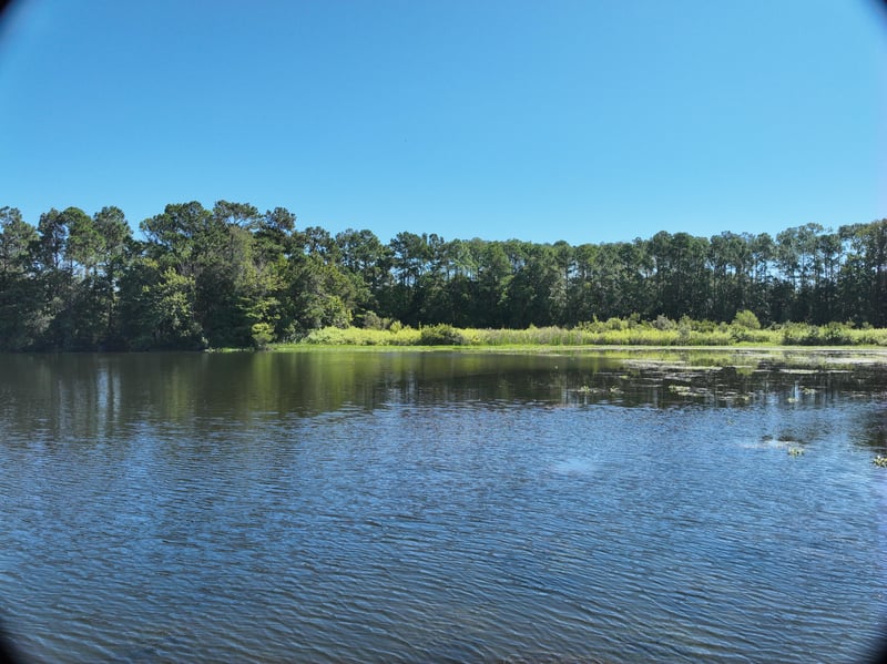 Pavilion_10ft_E_photo at Live Oak Trail, Jacksonville, FL 32225