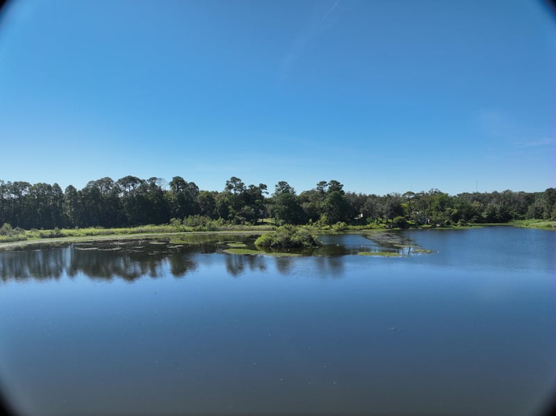 Founders-Rep_43ft_S_photo at Live Oak Trail, Jacksonville, FL 32225