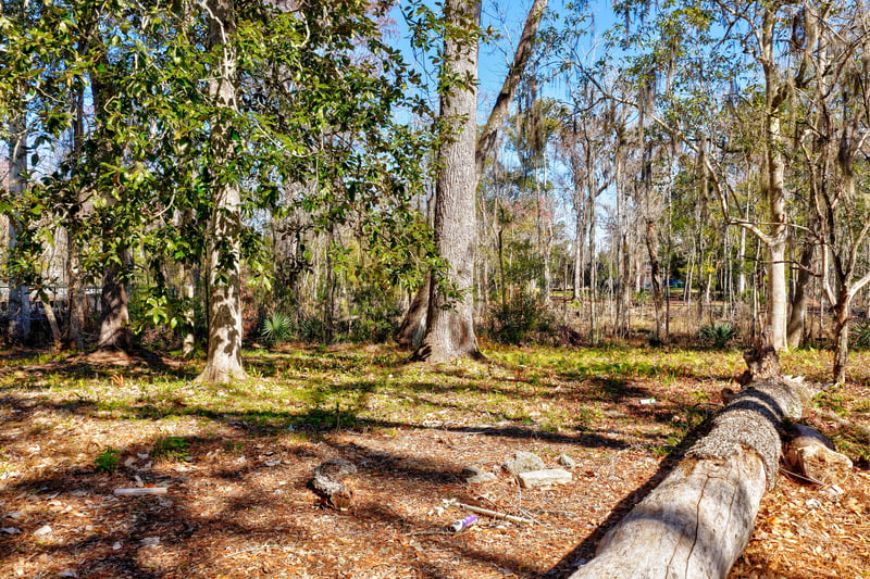 Photo 16 of Scott Mill Rd, Jacksonville, FL, photographed by Megapixeler