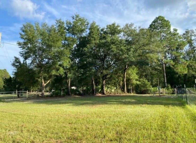 Open grassy field bordered by trees at 4890 McAllister Rd, Middleburg, FL 32068