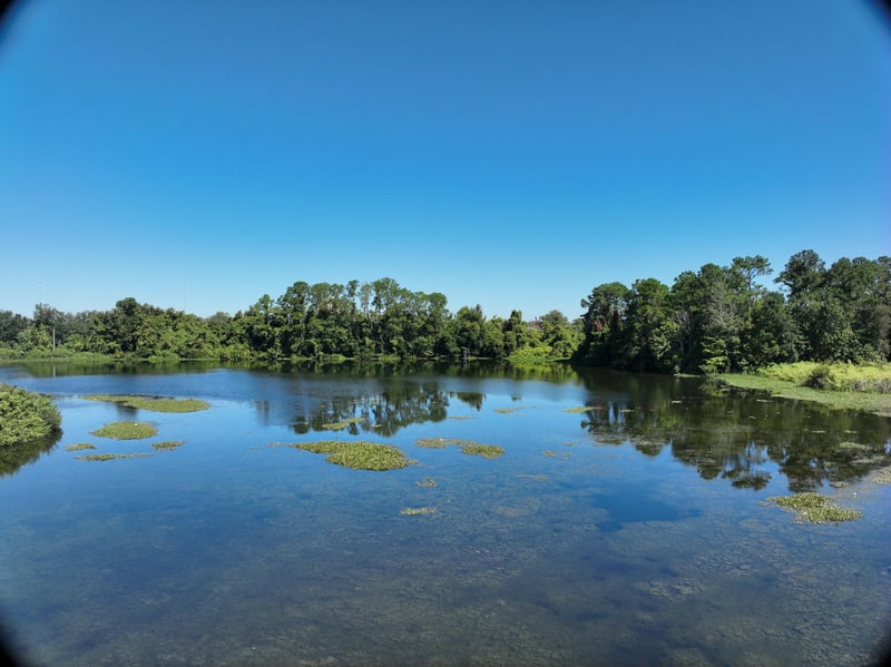 Promenade-Rep_30ft_N_photo at Live Oak Trail, Jacksonville, FL 32225