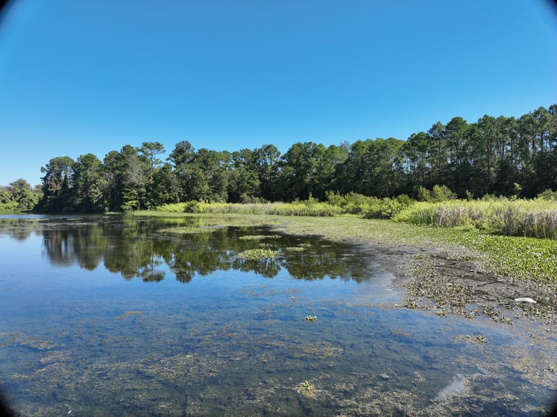 Promenade-Rep_7ft_NE_photo at Live Oak Trail, Jacksonville, FL 32225