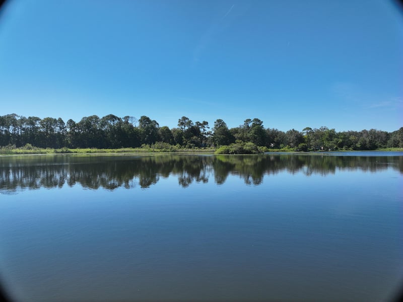 Founders-Res6_7ft_S_photo at Live Oak Trail, Jacksonville, FL 32225