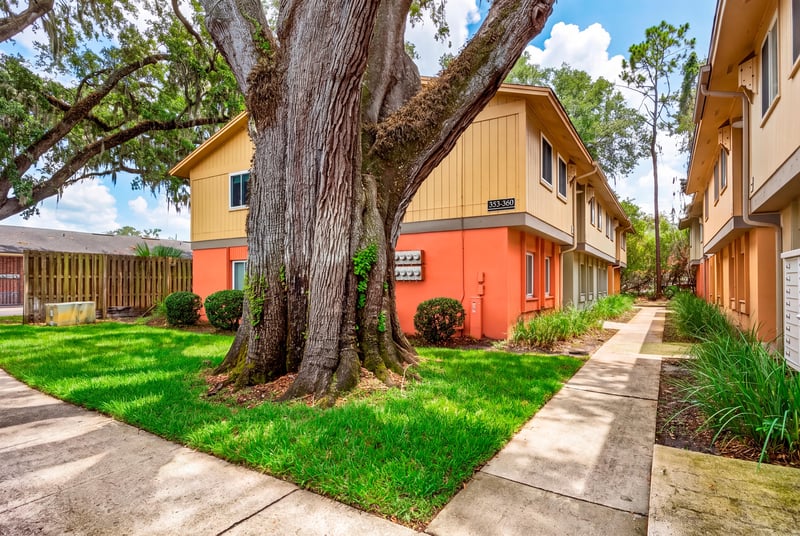 Walkway beneath oak trees leading to the condo building at 1800 Park Ave apt 358, Orange Park, FL