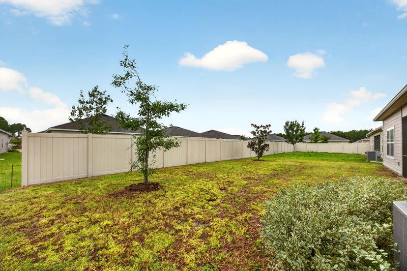 Backyard with privacy fence and young tree at 9905 Ansley Lake Dr, Jacksonville, FL