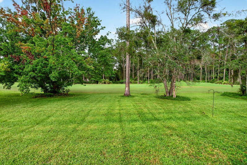 Wooded backyard lot at 2304 Spring Hill Ct, Orange Park, FL