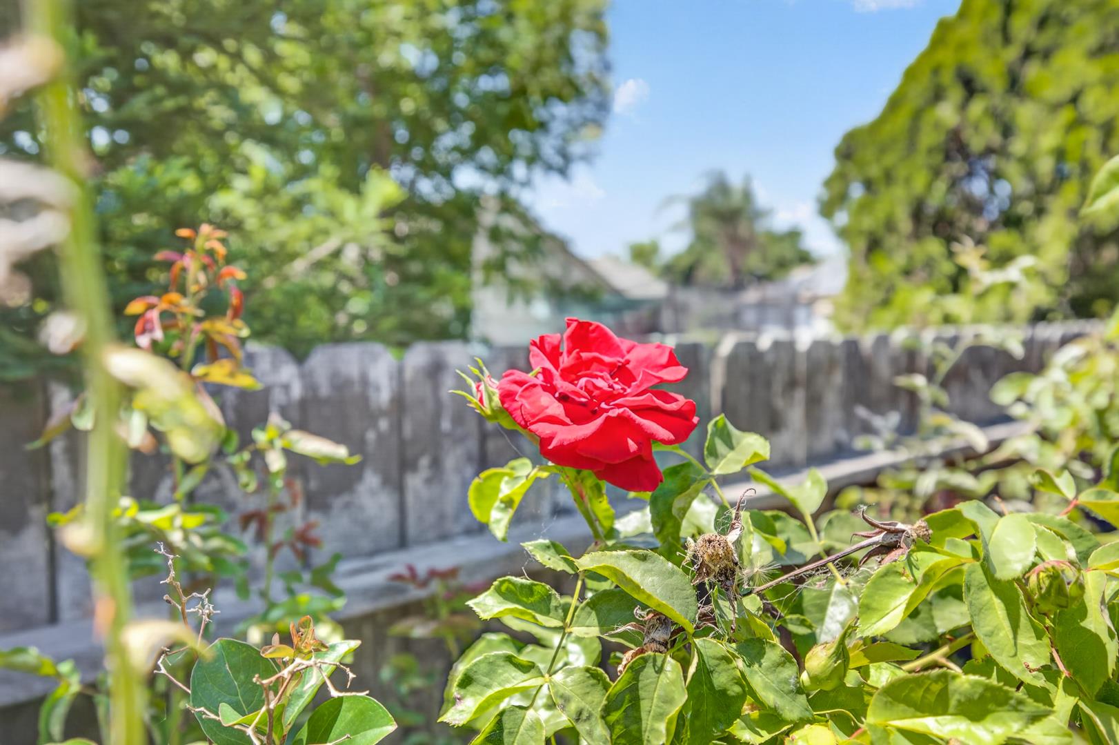 6105 E Cortland Ave, photo 59