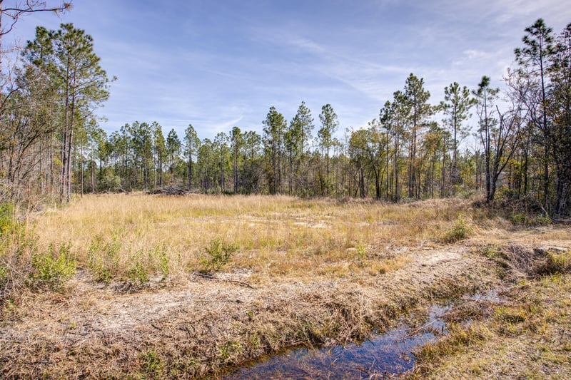 Photo 3 of 10260 Erickson Ave, Hastings, FL 32145, photographed by Megapixeler