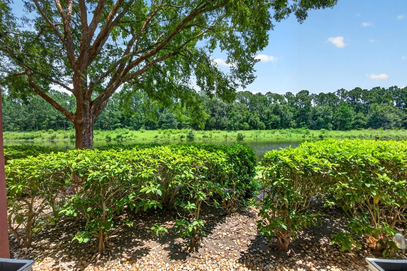 Hedge-lined path and oak tree near the building at 10435 Mid Town Pkwy unit 135, Jacksonville, FL 32246