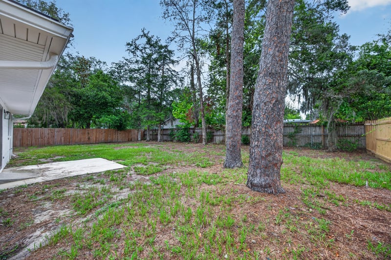 Backyard with mature pine trees and open lawn at 184 Draco St, Orange Park, FL 32073