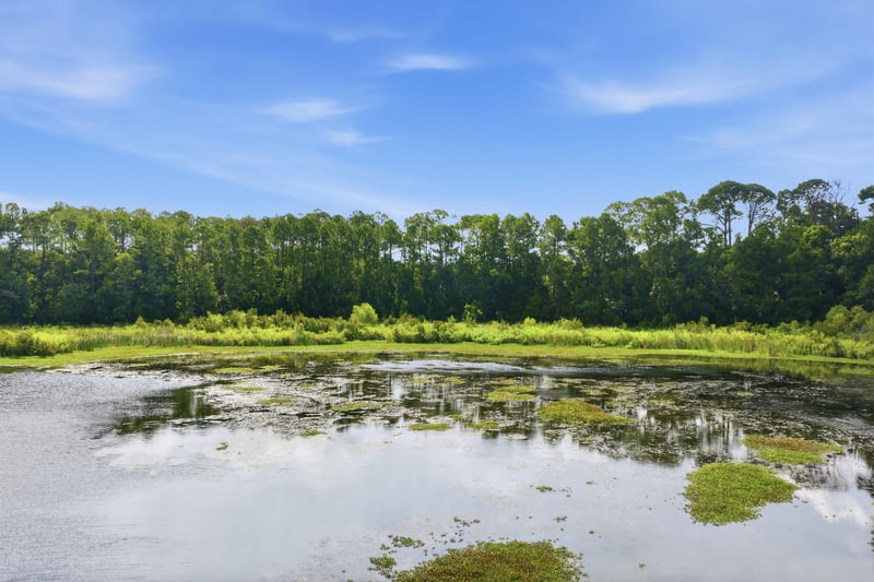 Photo 10 of Live Oak Trail, Jacksonville, FL 32225, photographed by Megapixeler