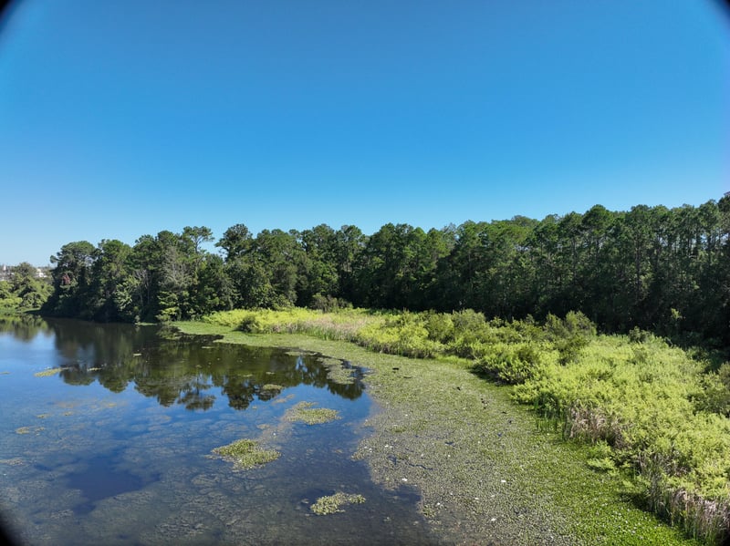 Promenade-Rep_41ft_NE_photo at Live Oak Trail, Jacksonville, FL 32225