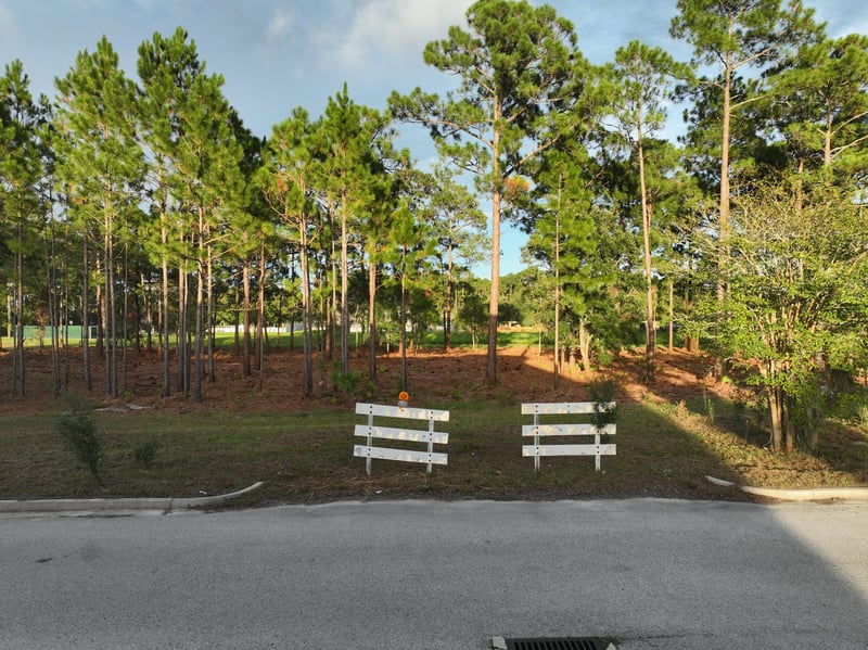 Ground-level view of the pine-covered lot with corner stakes at 4900 US-1, St. Augustine, FL 32086