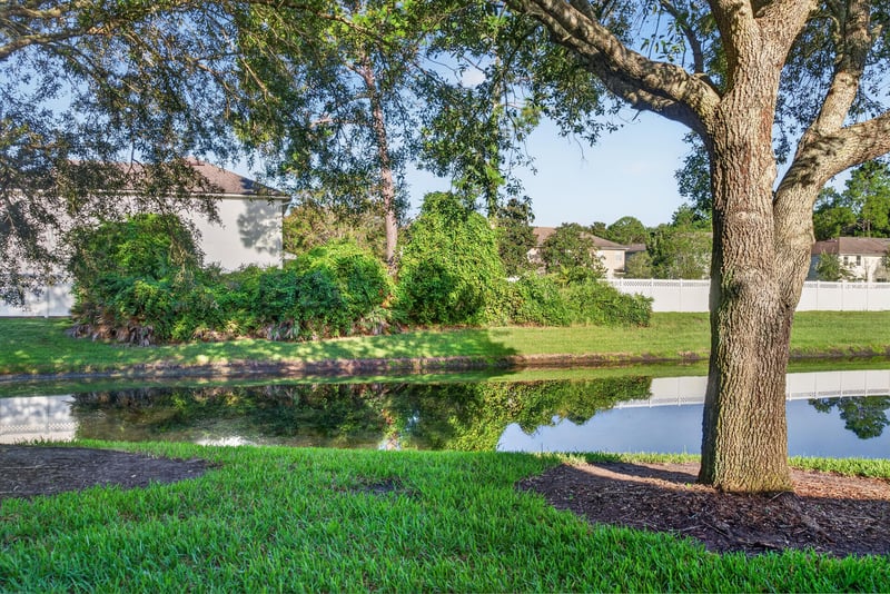 Pond and tree-lined green space near 353 Redwood Ln