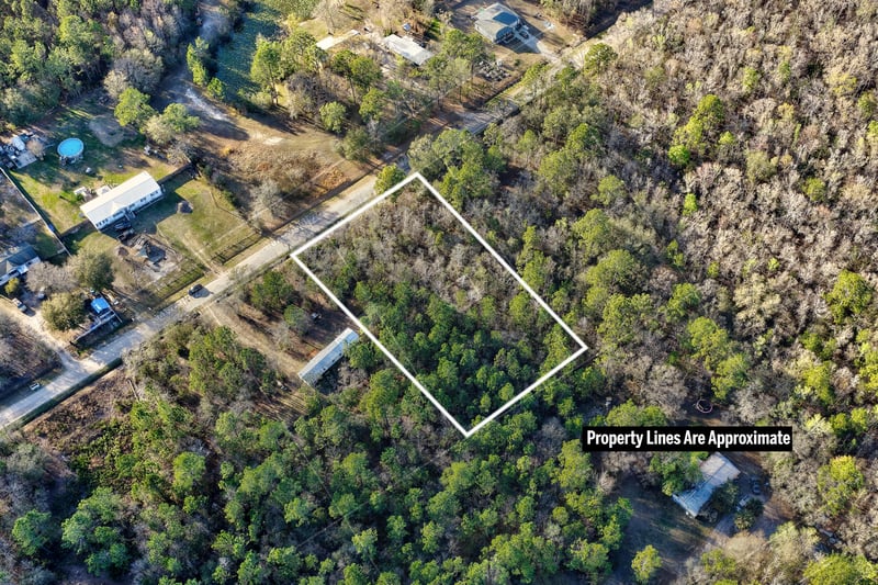 Lot line from Diagonal Back at 10250 Zigler Ave, Hastings, FL 32145