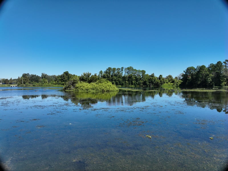 Promenade-Res6_7ft_N_photo at Live Oak Trail, Jacksonville, FL 32225