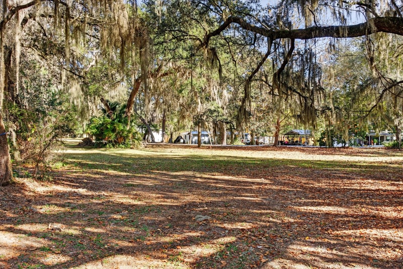 Lot 1 - From Inside the Lot at Nelsons Point, Keystone Heights, FL 32656
