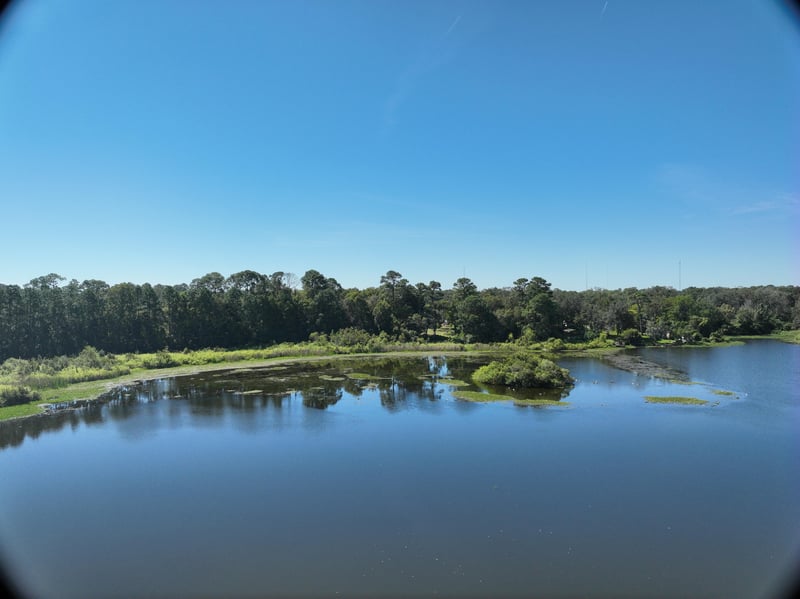 Founders-Res7_67ft_S_photo at Live Oak Trail, Jacksonville, FL 32225