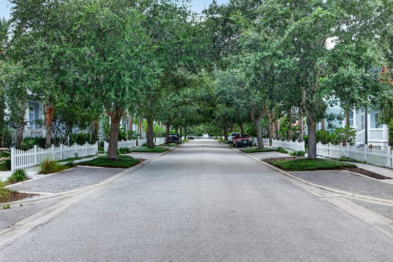 Oak-lined street leading toward the home at 117 Island Cottage Way, St. Augustine, FL 32080
