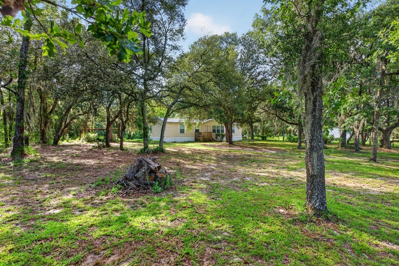 Wooded side yard with tree stump at 3215 Robin Ln, Middleburg, FL