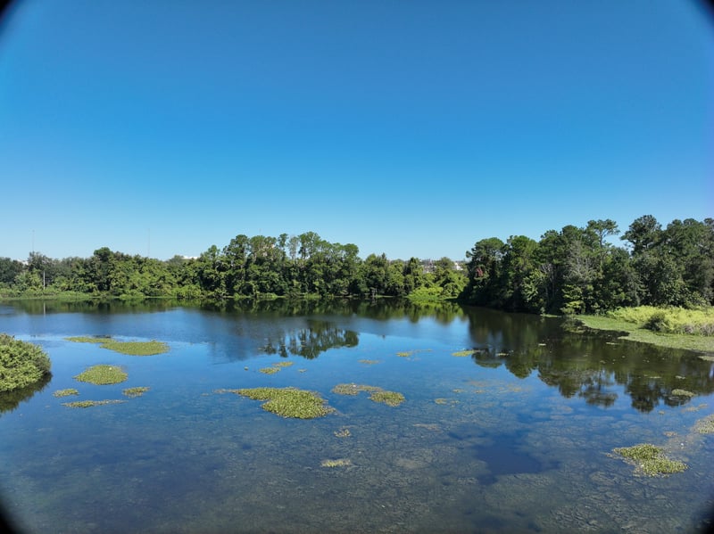 Promenade-Rep_41ft_N_photo at Live Oak Trail, Jacksonville, FL 32225