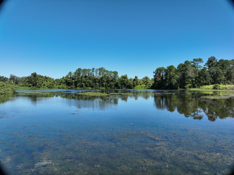 Promenade-Rep_7ft_N_photo at Live Oak Trail, Jacksonville, FL 32225