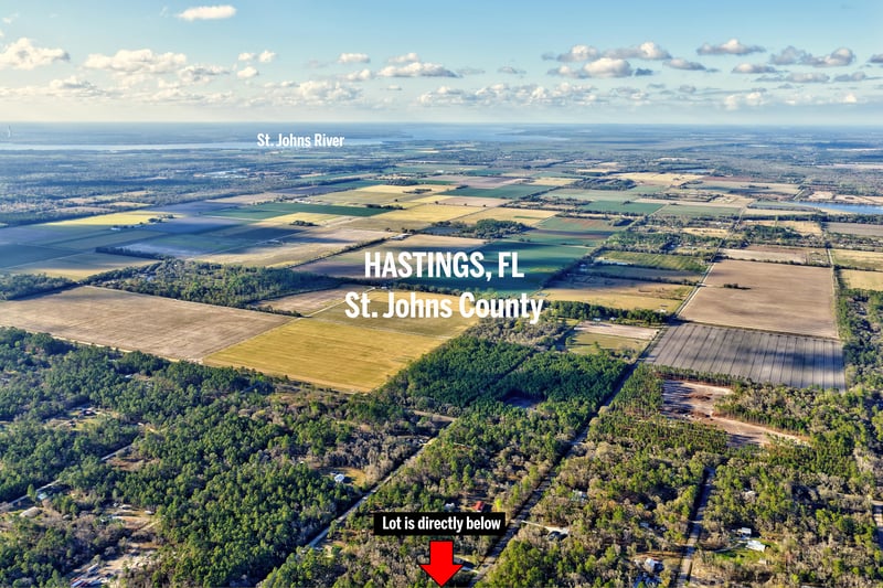 Hastings Area Context at 10250 Zigler Ave, Hastings, FL 32145