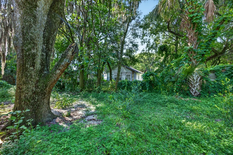 Backyard with trees and grass at 2372 2nd Ave, Jacksonville, FL 32208