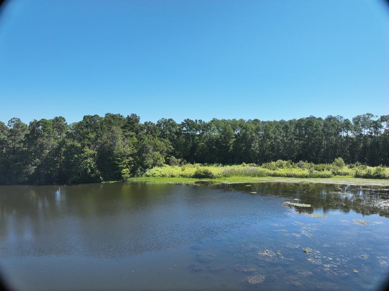 Pavilion_40ft_E_photo at Live Oak Trail, Jacksonville, FL 32225