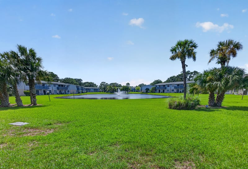 Pond and lawn view framed by palm trees in St. Augustine, FL