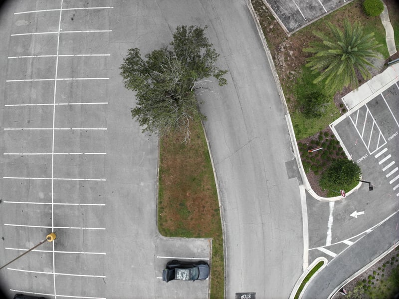 Aerial view of drive with palm and oak trees at 9406 Atlantic Blvd, Jacksonville, FL 32225