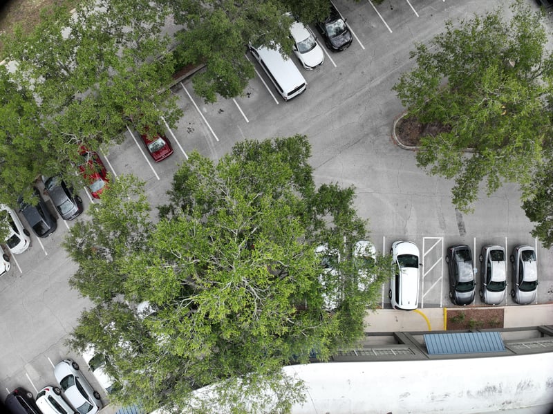 Aerial view of oak tree canopy and parking rows at 9406 Atlantic Blvd, Jacksonville, FL 32225