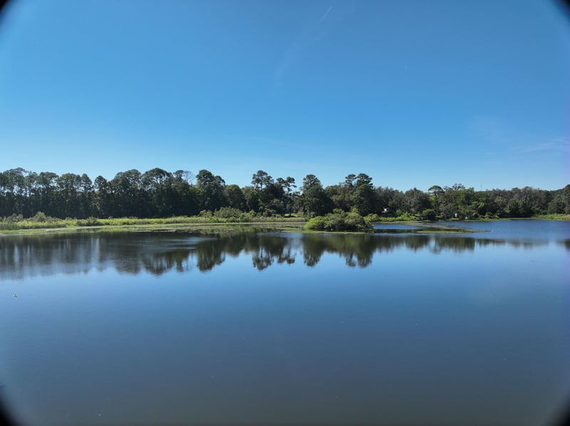 Founders-Res6_20ft_S_photo at Live Oak Trail, Jacksonville, FL 32225