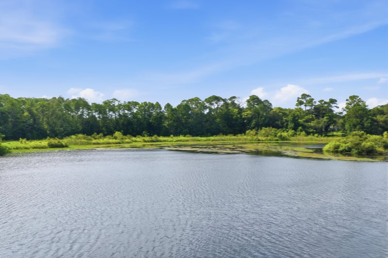Photo 9 of Live Oak Trail, Jacksonville, FL 32225, photographed by Megapixeler