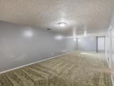 Lower-level family room