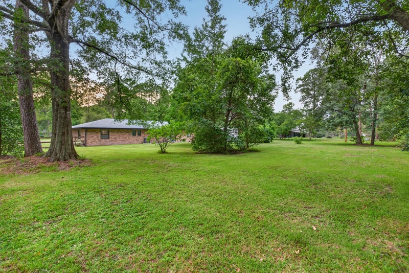 Open backyard lawn bordered by trees at 3249 Maryland Ave, Green Cove Springs, FL