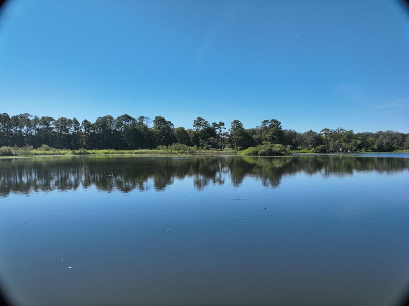 Founders-Res7_7ft_S_photo at Live Oak Trail, Jacksonville, FL 32225