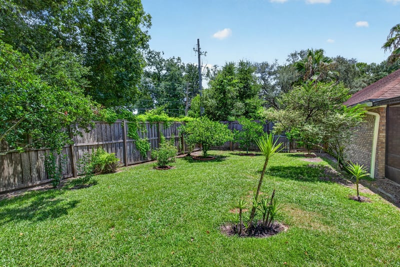 Fenced backyard with young trees and lawn at 12810 Swamp Owl Ln