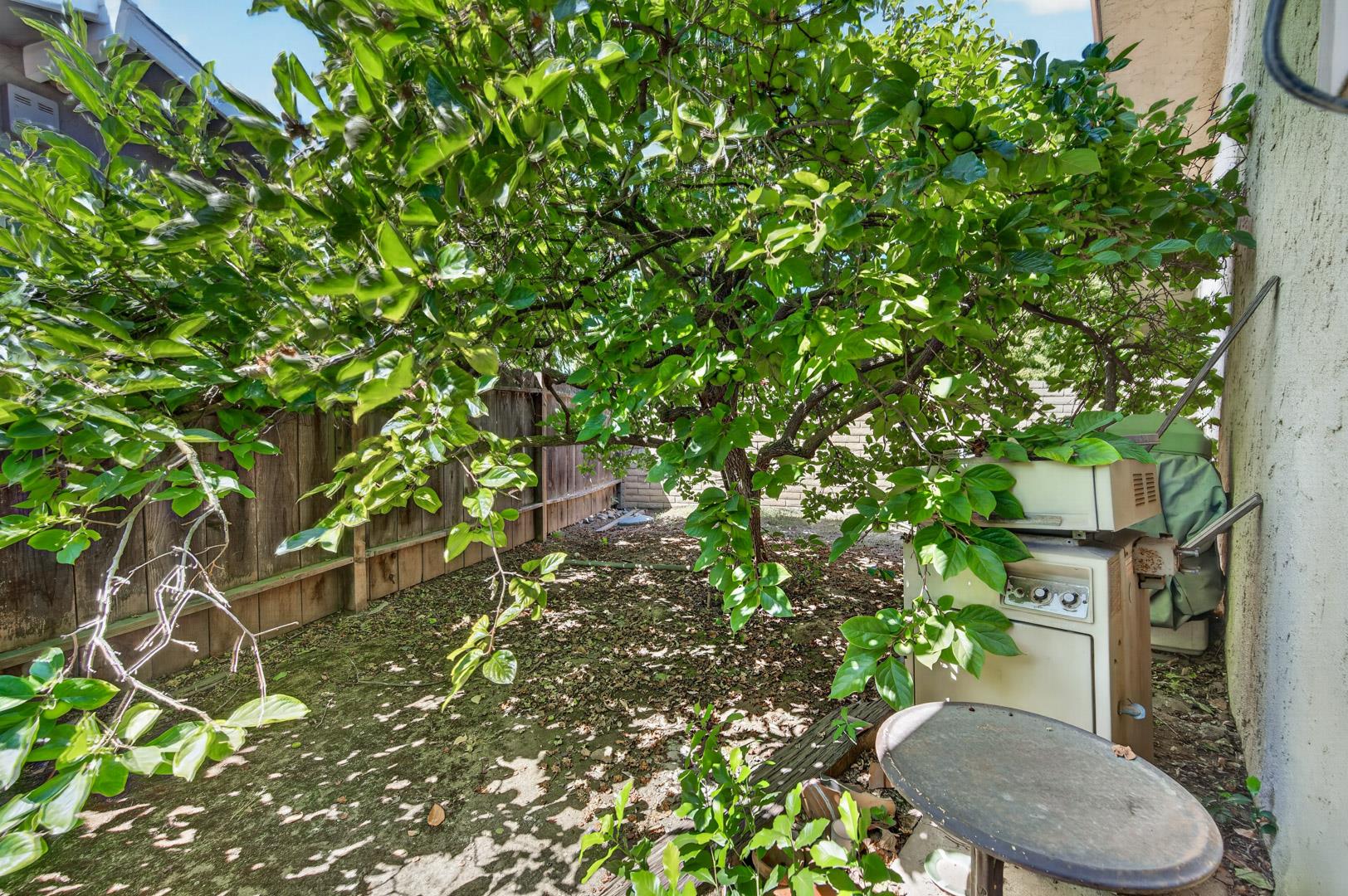 3317 W Alluvial Ave, photo 61