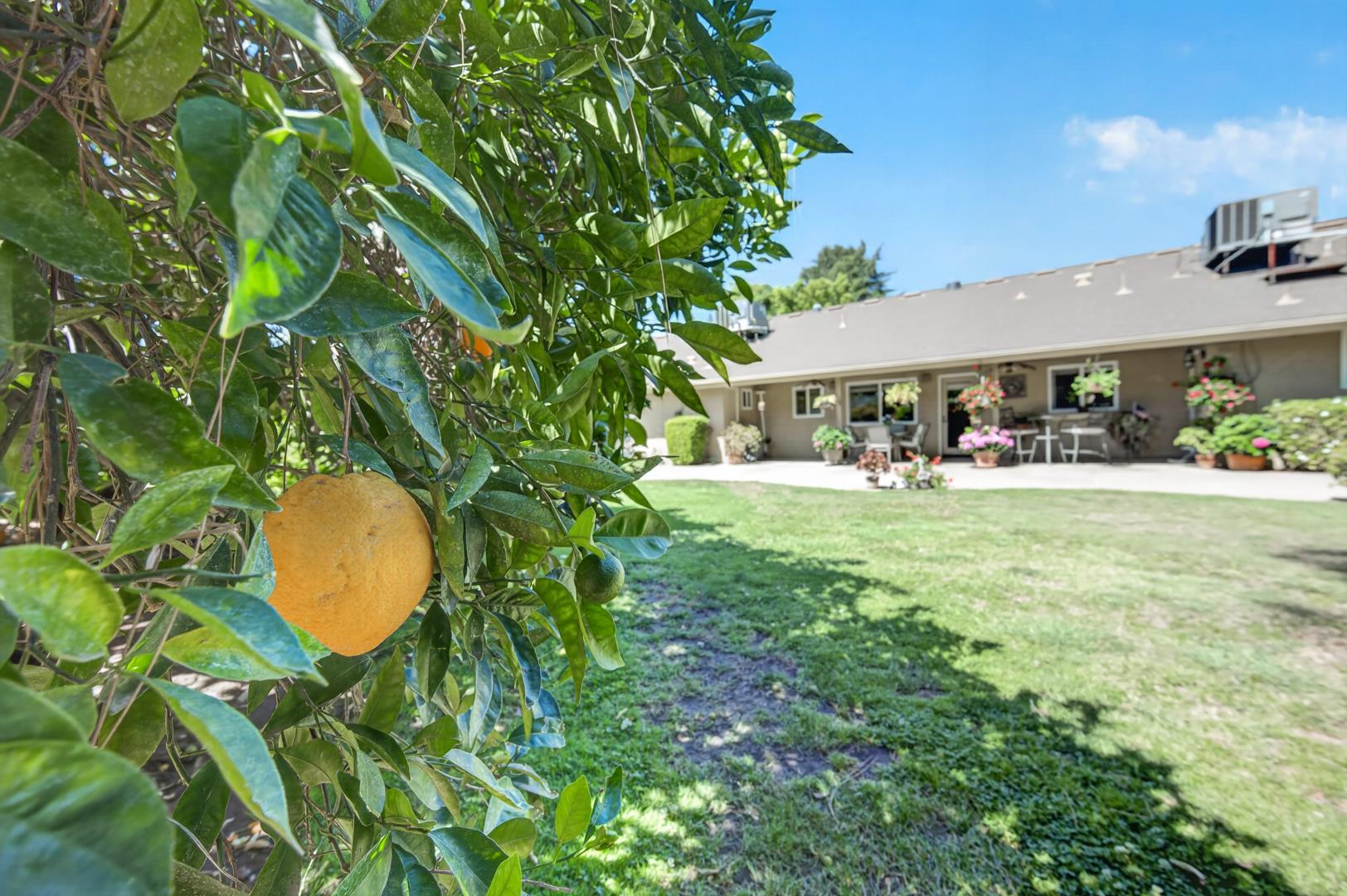 3317 W Alluvial Ave, photo 58