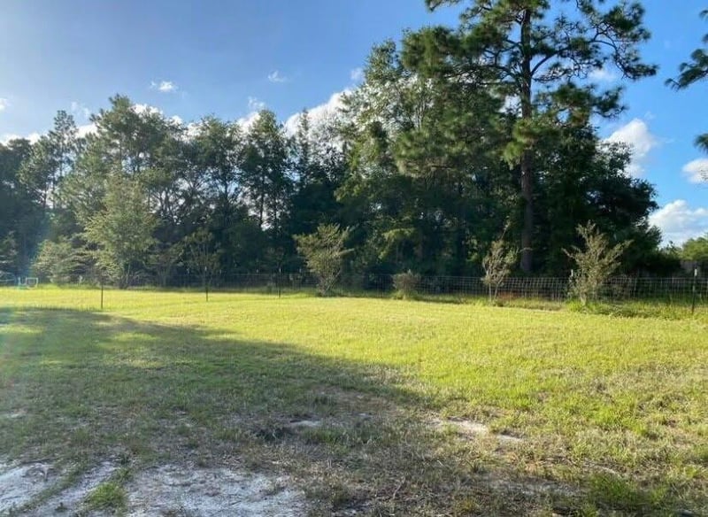 Open field with grass and tree line at 4890 McAllister Rd, Middleburg, FL 32068