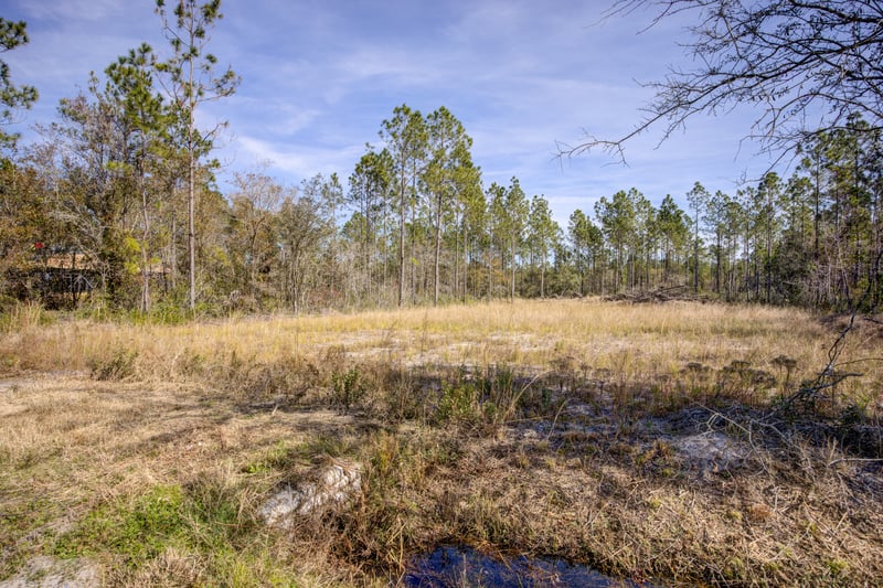 Photo 4 of 10260 Erickson Ave, Hastings, FL 32145, photographed by Megapixeler