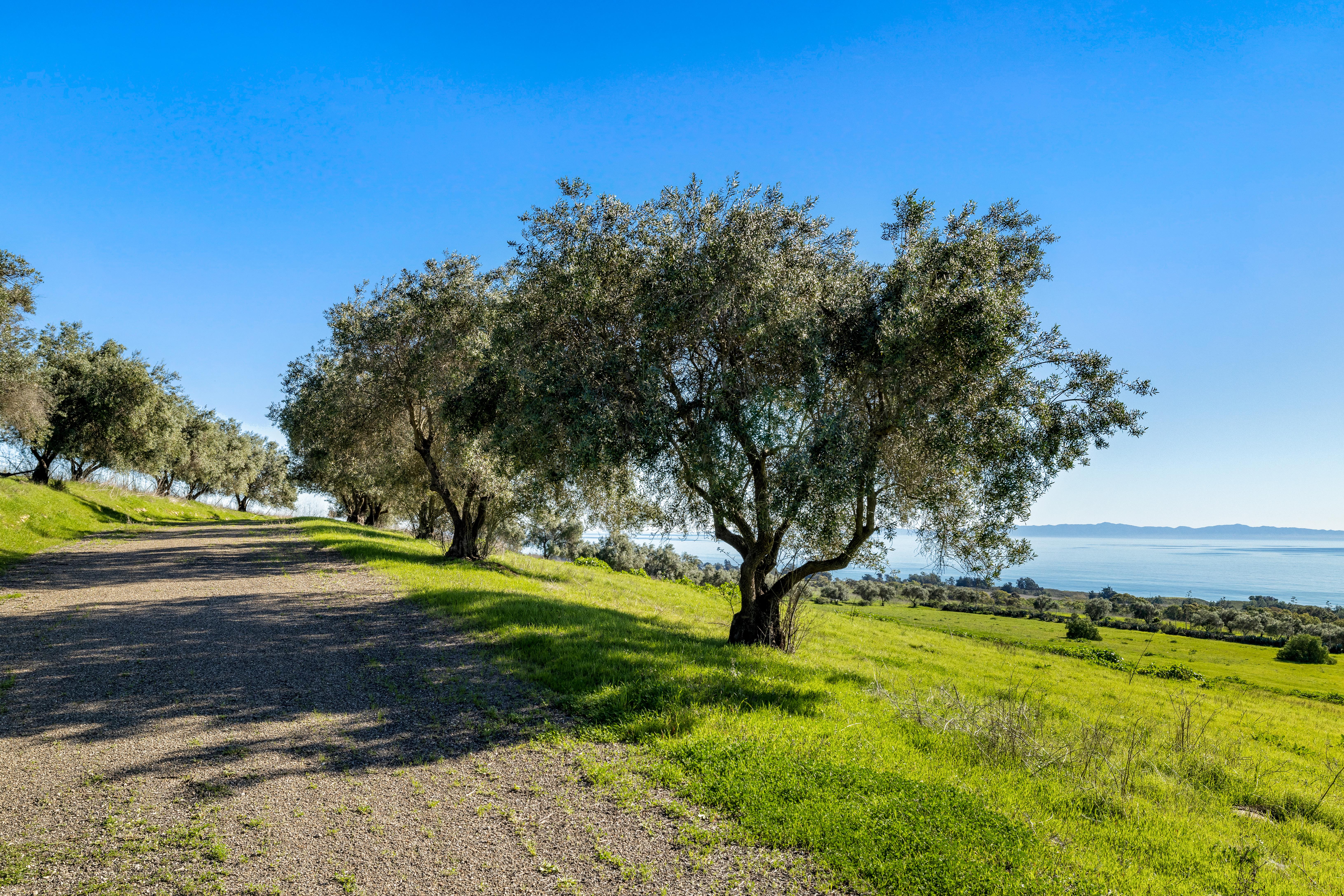 Real estate photography virtual tour of Naples Access Rd, Goleta CA — luxury home photography near Carpinteria bluffs by VirTour Media