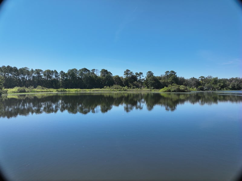 LiveWork-Est1_7ft_S_photo at Live Oak Trail, Jacksonville, FL 32225