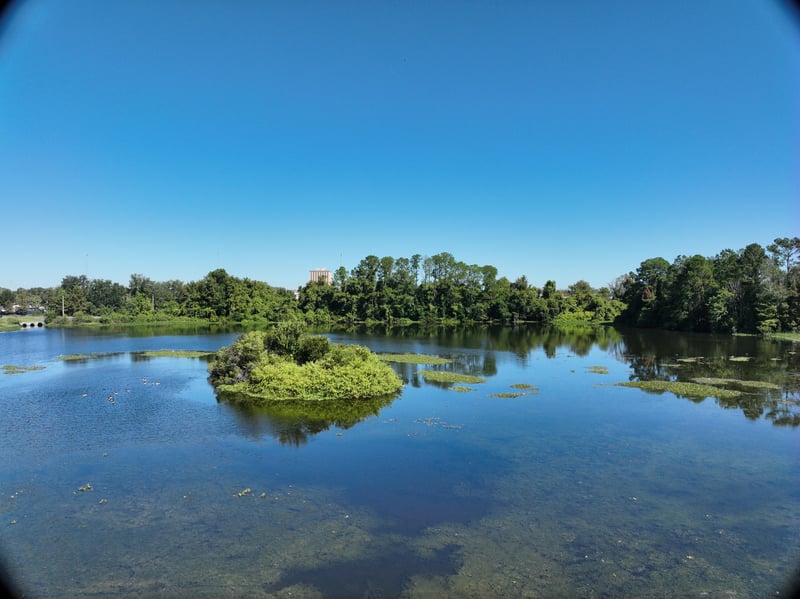 Promenade-Res6_30ft_N_photo at Live Oak Trail, Jacksonville, FL 32225