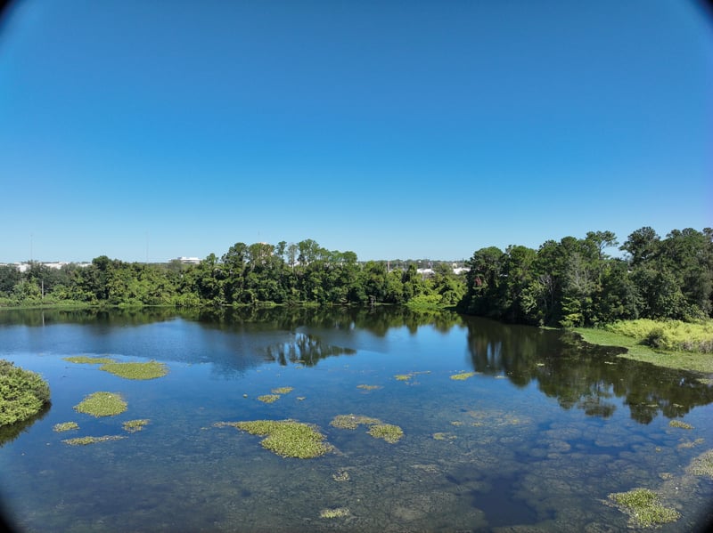 Promenade-Rep_52ft_N_photo at Live Oak Trail, Jacksonville, FL 32225