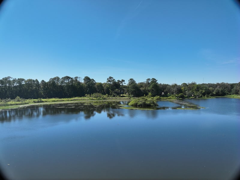 Founders-Res6_43ft_S_photo at Live Oak Trail, Jacksonville, FL 32225