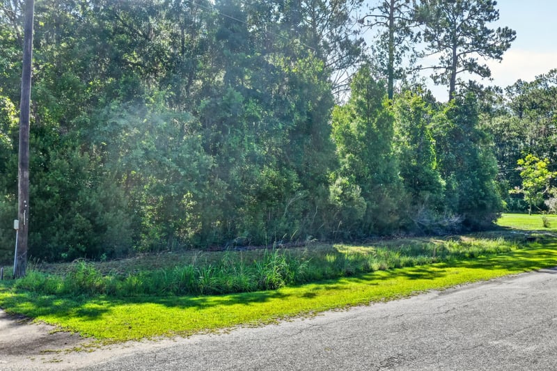 Low aerial view of the tree-lined road at 110 River Shores Rd, Palatka, FL 32043